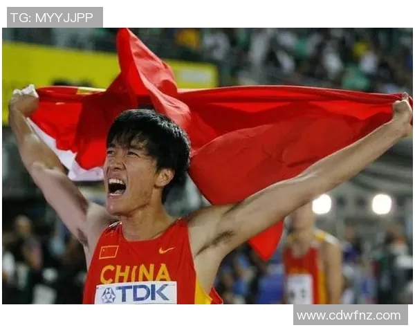 中国体育明星在粉丝数量上的排名及影响力分析