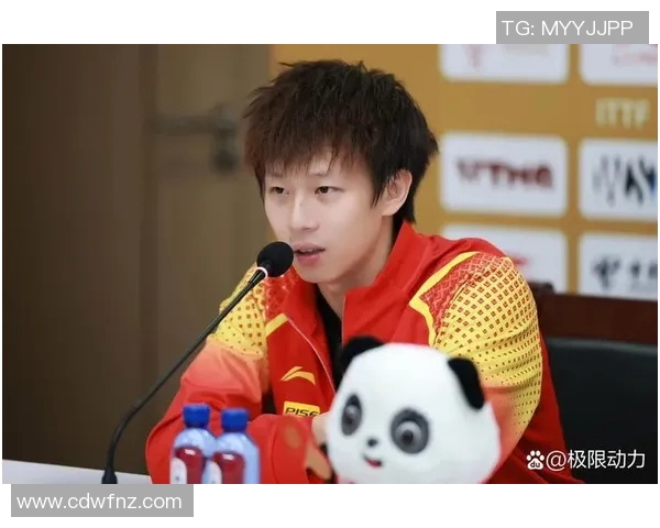 全运会巅峰对决张继科与林高远谁能问鼎乒坛荣耀之巅