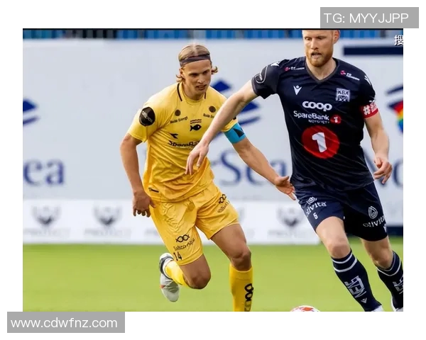 希腊对阵爱沙尼亚足球赛前瞻及推荐分析助你赢得投注 希腊对阵爱沙尼亚足球赛前瞻及推荐分析助你赢得投注