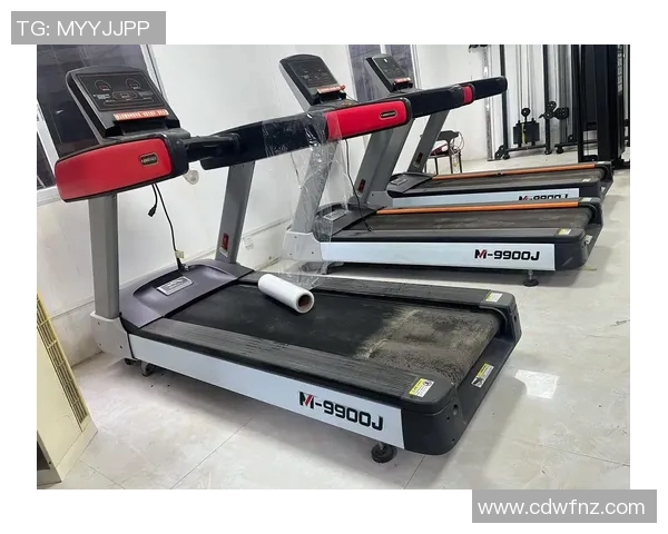 全面解析体育健身器材价格表助你选择合适的健身设备与器材