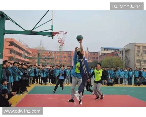 郸城篮球明星的崛起与梦想追逐之路探索
