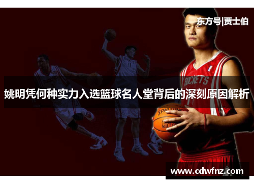 姚明凭何种实力入选篮球名人堂背后的深刻原因解析