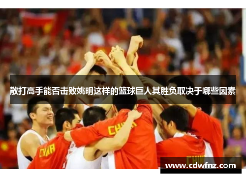 散打高手能否击败姚明这样的篮球巨人其胜负取决于哪些因素