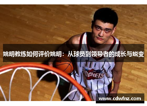 姚明教练如何评价姚明：从球员到领导者的成长与蜕变