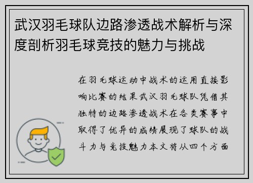 武汉羽毛球队边路渗透战术解析与深度剖析羽毛球竞技的魅力与挑战