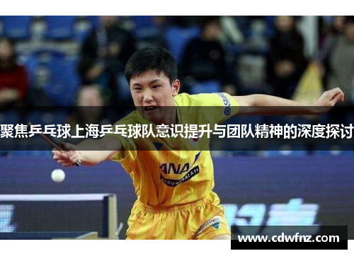 聚焦乒乓球上海乒乓球队意识提升与团队精神的深度探讨