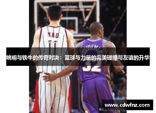 姚明与铁牛的传奇对决：篮球与力量的完美碰撞与友谊的升华