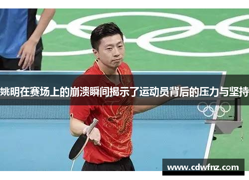 姚明在赛场上的崩溃瞬间揭示了运动员背后的压力与坚持