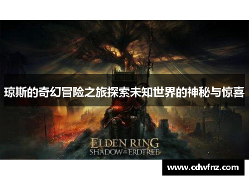 琼斯的奇幻冒险之旅探索未知世界的神秘与惊喜